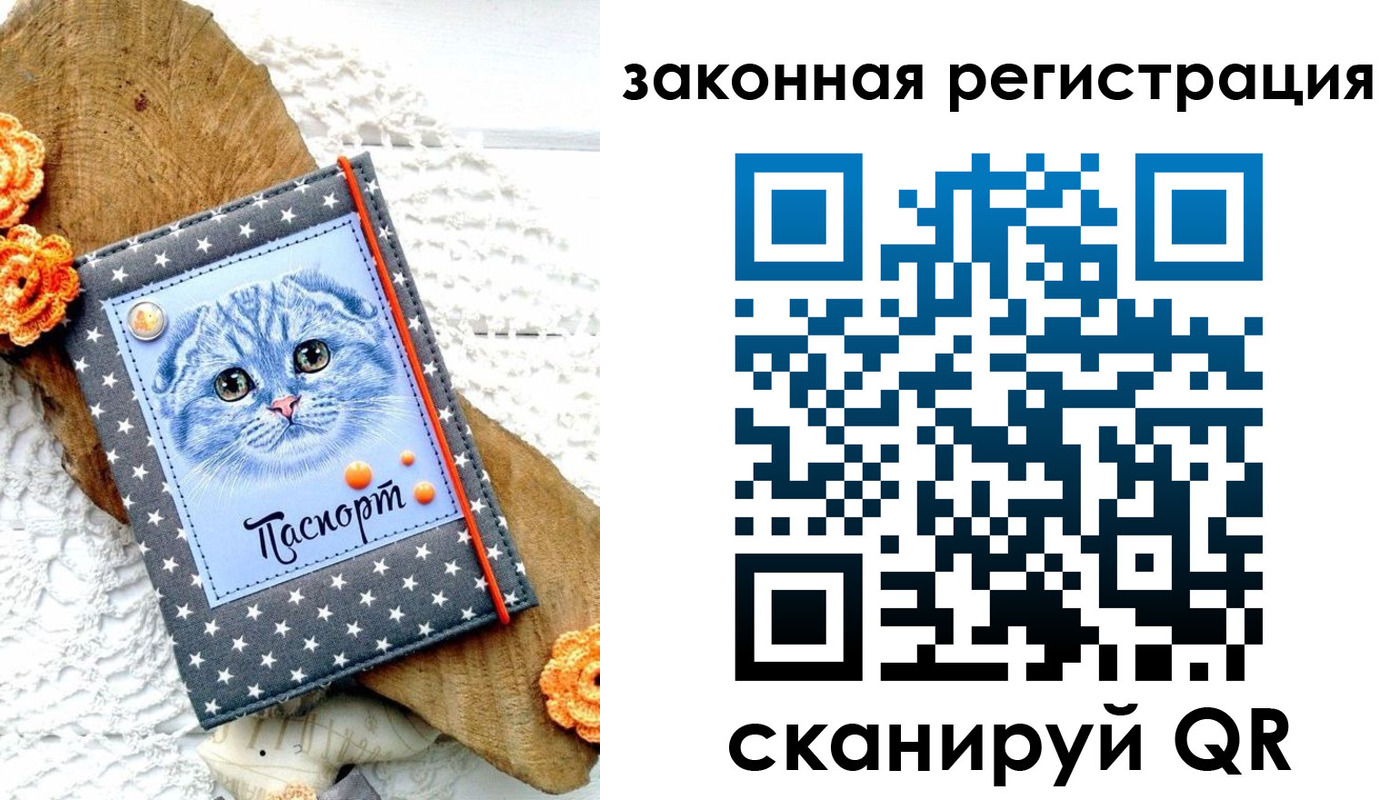 регистрация в Орловской области